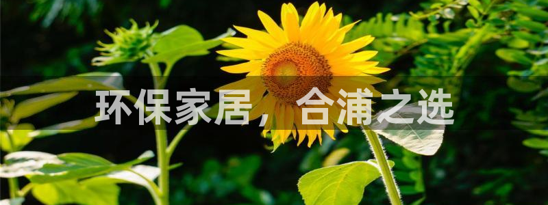 杏耀平台手机下载