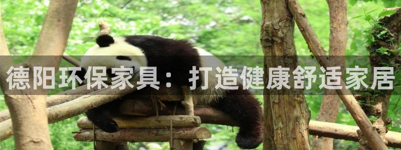 杏耀平台网页版