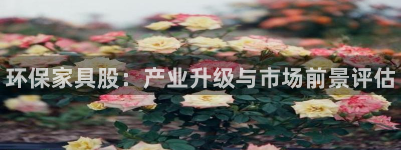 杏耀平台怎样