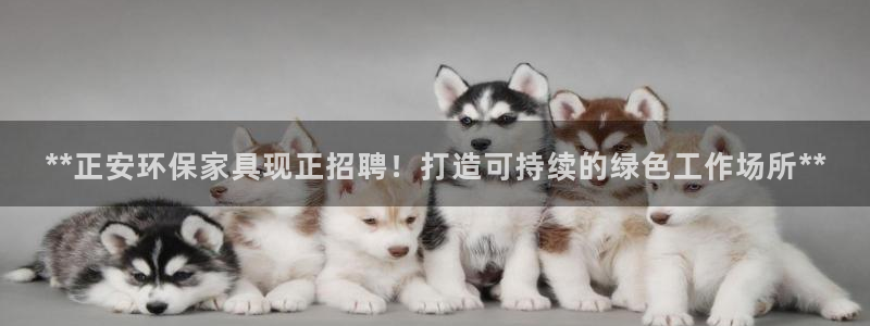 杏耀登陆测速