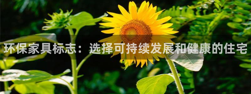 杏耀官网游戏