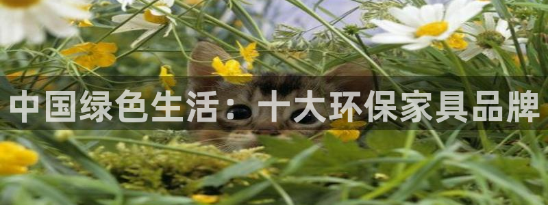 杏耀平台的专用通道：中国绿色生活：十大环保家具品牌