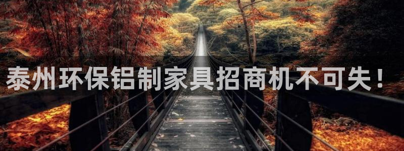 杏耀平台代理怎么赚钱快：泰州环保铝制家具招商机不可失！
