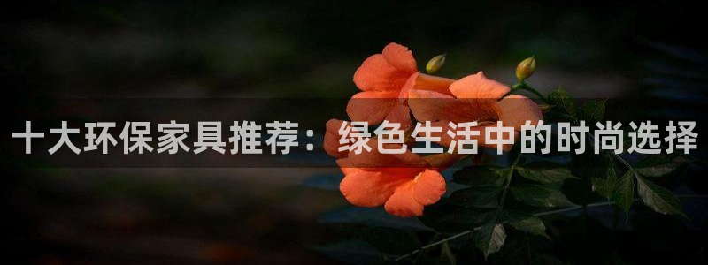 杏耀管网登录：十大环保家具推荐：绿色生活中的时尚选择