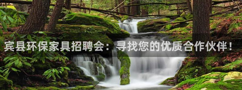 杏耀注册链接：宾县环保家具招聘会：寻找您的优质合作伙伴！