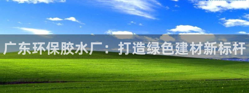 杏耀注册登录中心：广东环保胶水厂：打造绿色建材新标杆