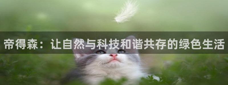杏耀平台代理：帝得森：让自然与科技和谐共存的绿色生活