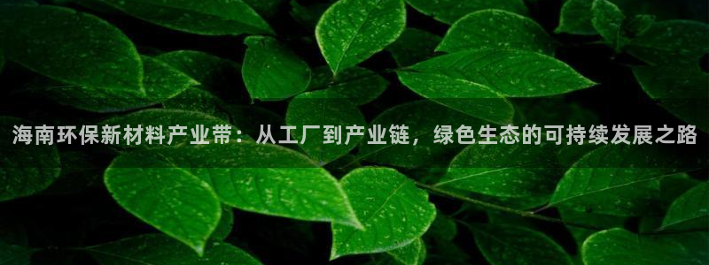 杏耀平台登录检测：海南环保新材料产业带：从工厂到产业链，绿色