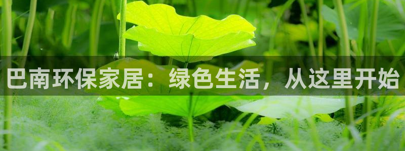 杏耀主管qq：巴南环保家居：绿色生活，从这里开始