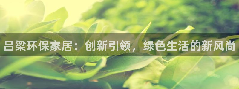 杏耀平台测速登陆：吕梁环保家居：创新引领，绿色生活的新风尚