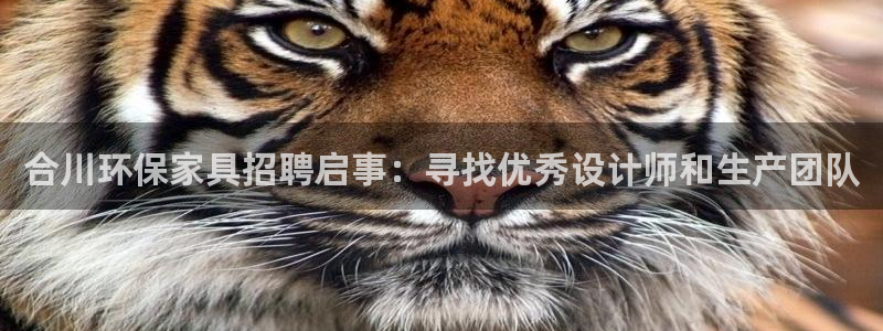 杏耀注册网址：合川环保家具招聘启事：寻找优秀设计师和生产团队