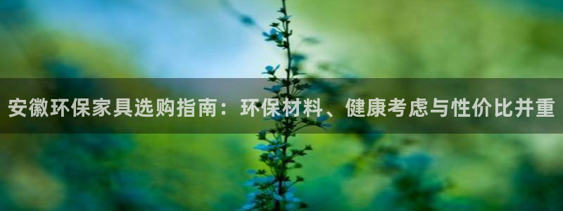 杏耀平台注册：安徽环保家具选购指南：环保材料、健康考虑与性价