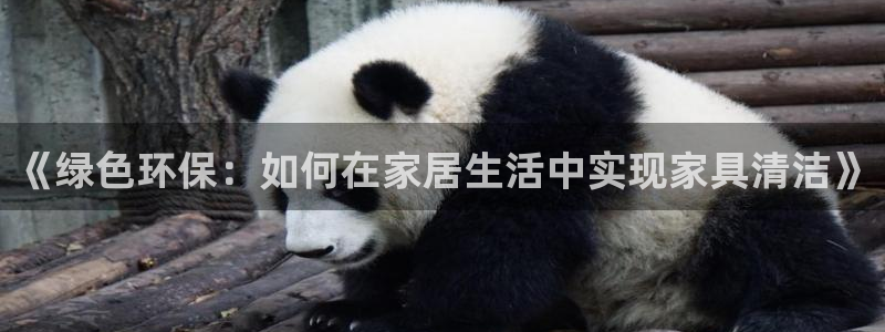 杏耀平台登录方式：《绿色环保：如何在家居生活中实现家具清洁》