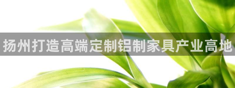 杏耀平台没有了：扬州打造高端定制铝制家具产业高地