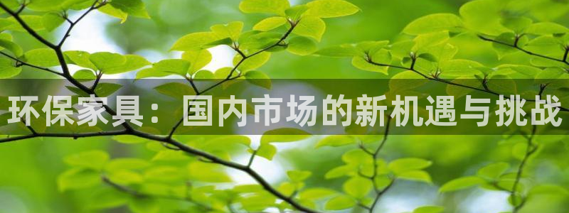 杏耀平台登录：环保家具：国内市场的新机遇与挑战