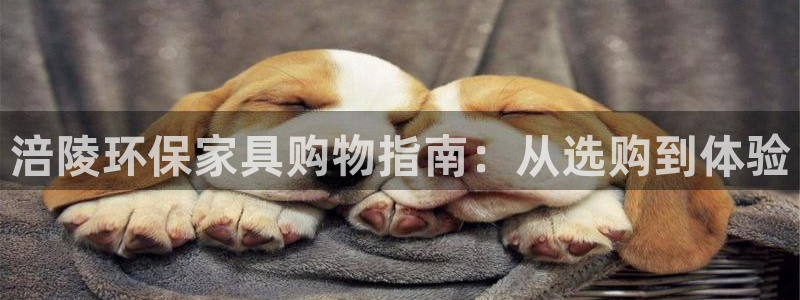 杏耀平台怎么样?：涪陵环保家具购物指南：从选购到体验