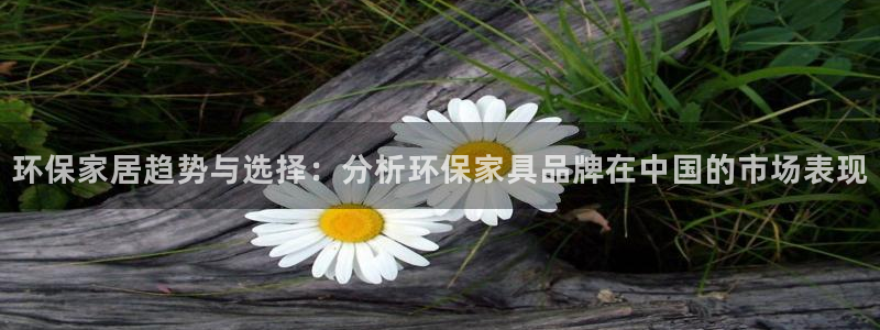 杏耀平台代理注册多少钱一年：环保家居趋势与选择：分析环保家具
