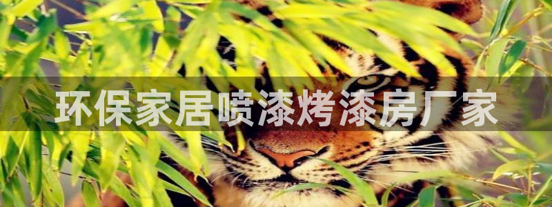 杏耀官网注册：环保家居喷漆烤漆房厂家