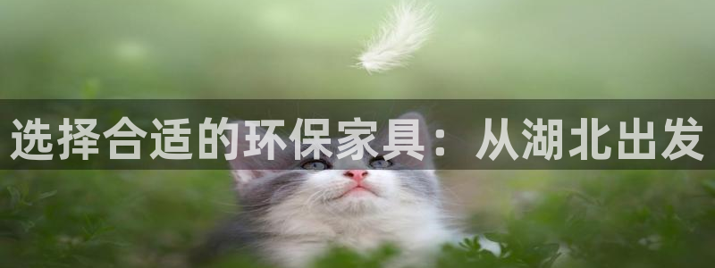 杏耀登陆电脑线路测速：选择合适的环保家具：从湖北出发