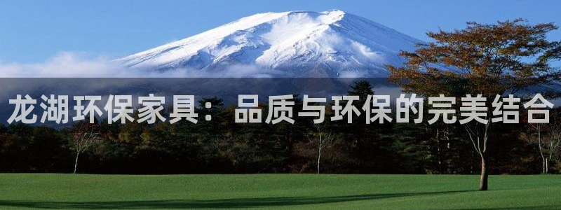 杏耀平台注册：龙湖环保家具：品质与环保的完美结合