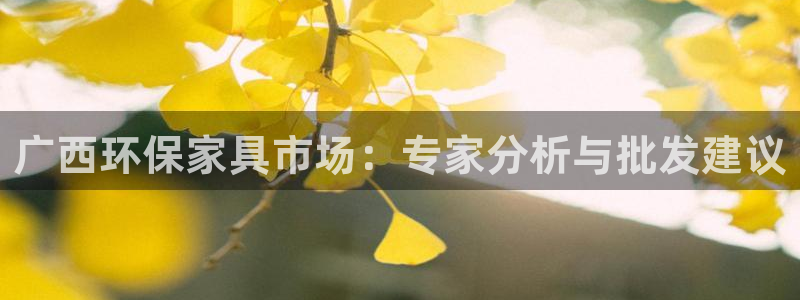 杏耀平台线路：广西环保家具市场：专家分析与批发建议