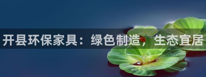 杏耀平台代理怎么赚钱：开县环保家具：绿色制造，生态宜居