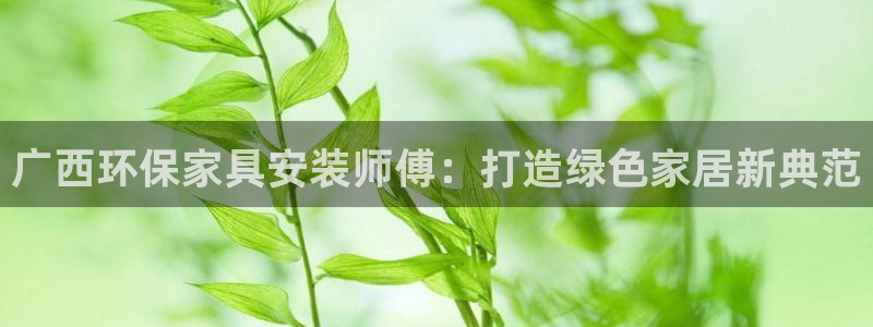 杏耀平台登录网址是什么：广西环保家具安装师傅：打造绿色家居新