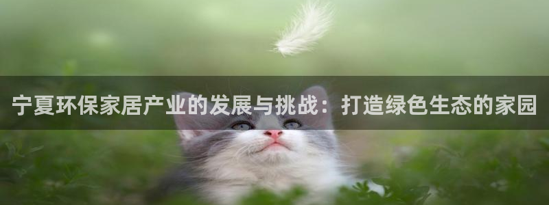 杏耀主管qq：宁夏环保家居产业的发展与挑战：打造绿色生态的家
