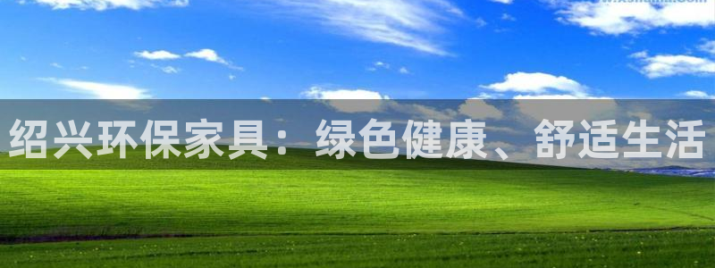 杏耀软件