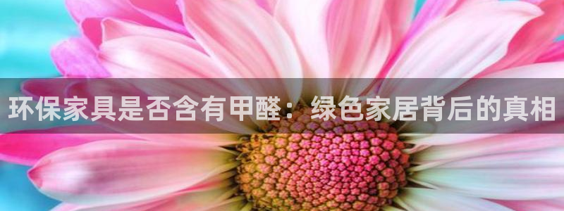 杏耀平台代理注册