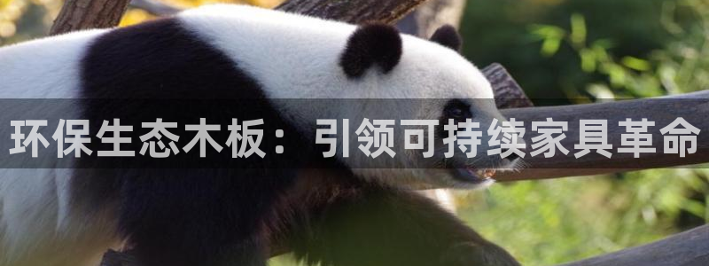 杏耀3代理