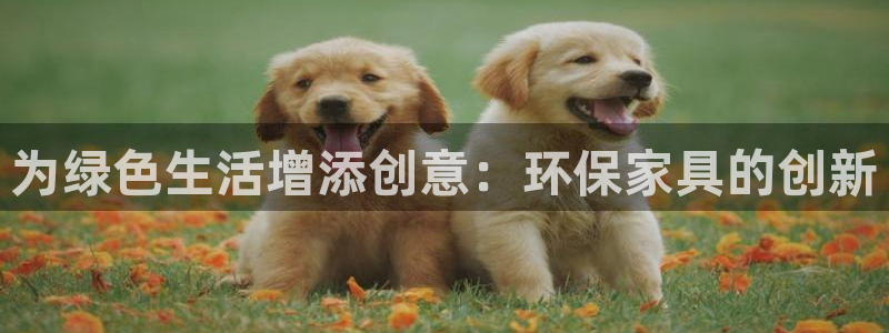 杏耀登入测速