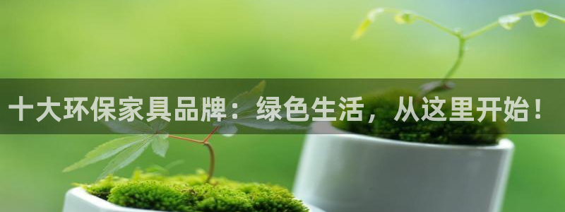 杏耀代理日工资多少
